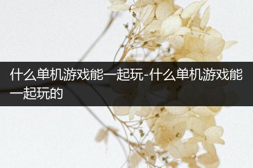 什么单机游戏能一起玩-什么单机游戏能一起玩的