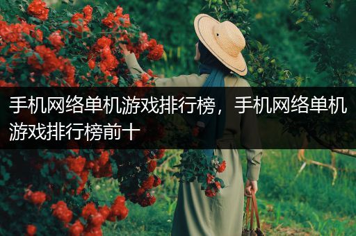手机网络单机游戏排行榜，手机网络单机游戏排行榜前十