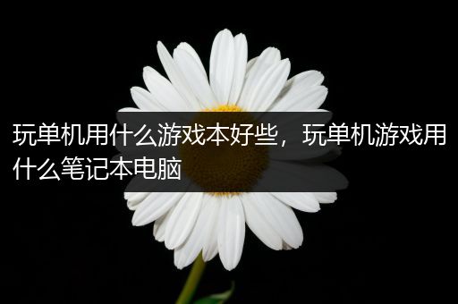 玩单机用什么游戏本好些，玩单机游戏用什么笔记本电脑