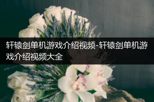 轩辕剑单机游戏介绍视频-轩辕剑单机游戏介绍视频大全