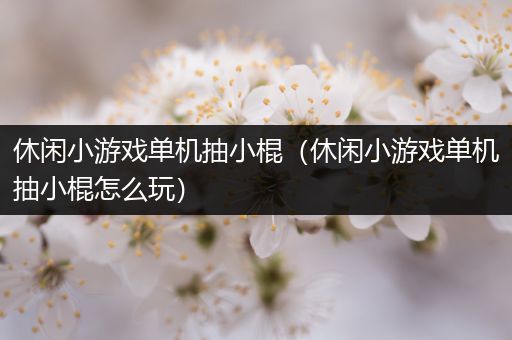 休闲小游戏单机抽小棍（休闲小游戏单机抽小棍怎么玩）