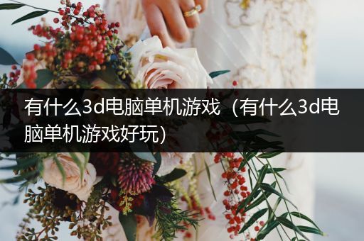 有什么3d电脑单机游戏（有什么3d电脑单机游戏好玩）