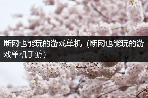 断网也能玩的游戏单机（断网也能玩的游戏单机手游）