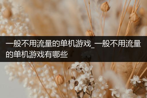 一般不用流量的单机游戏_一般不用流量的单机游戏有哪些