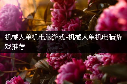 机械人单机电脑游戏-机械人单机电脑游戏推荐