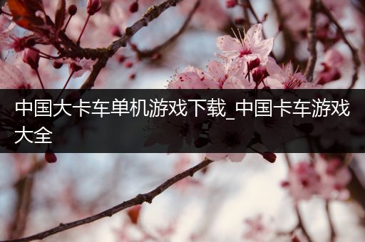 中国大卡车单机游戏下载_中国卡车游戏大全