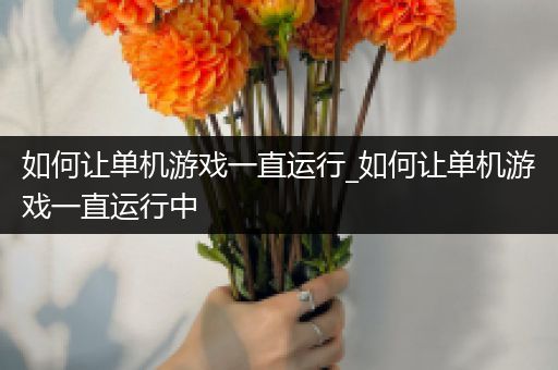 如何让单机游戏一直运行_如何让单机游戏一直运行中