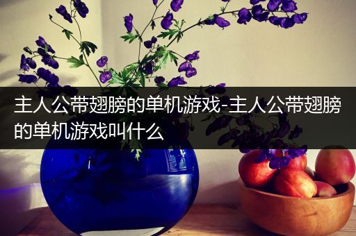 主人公带翅膀的单机游戏-主人公带翅膀的单机游戏叫什么