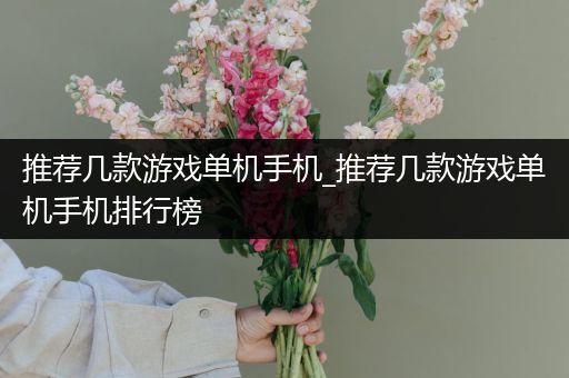 推荐几款游戏单机手机_推荐几款游戏单机手机排行榜