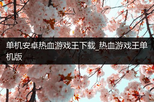 单机安卓热血游戏王下载_热血游戏王单机版