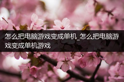 怎么把电脑游戏变成单机_怎么把电脑游戏变成单机游戏