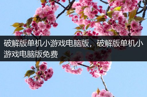 破解版单机小游戏电脑版，破解版单机小游戏电脑版免费