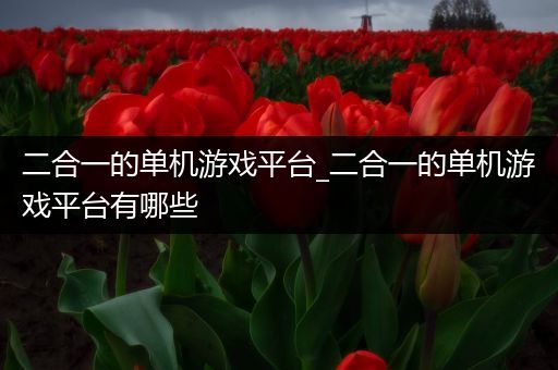 二合一的单机游戏平台_二合一的单机游戏平台有哪些