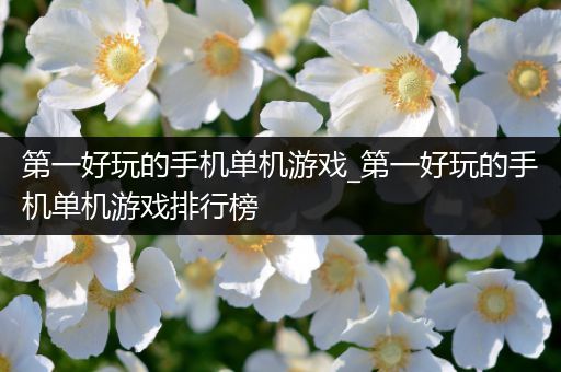 第一好玩的手机单机游戏_第一好玩的手机单机游戏排行榜