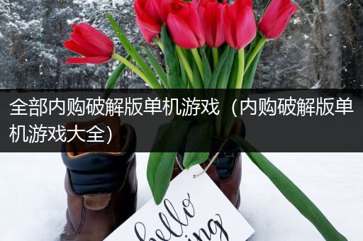 全部内购破解版单机游戏（内购破解版单机游戏大全）