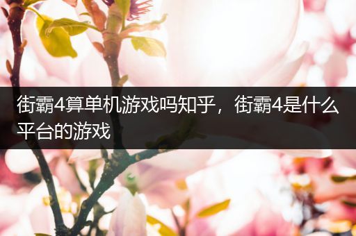 街霸4算单机游戏吗知乎，街霸4是什么平台的游戏