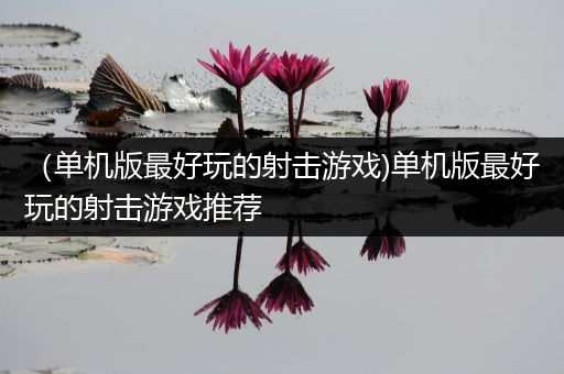 （单机版最好玩的射击游戏)单机版最好玩的射击游戏推荐
