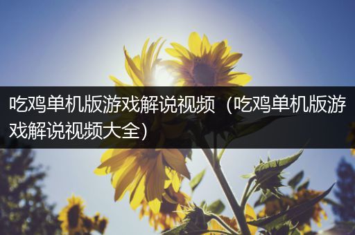 吃鸡单机版游戏解说视频（吃鸡单机版游戏解说视频大全）