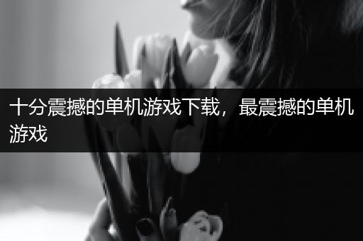十分震撼的单机游戏下载，最震撼的单机游戏