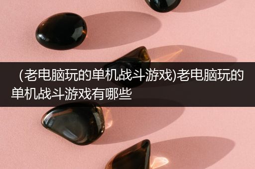 （老电脑玩的单机战斗游戏)老电脑玩的单机战斗游戏有哪些