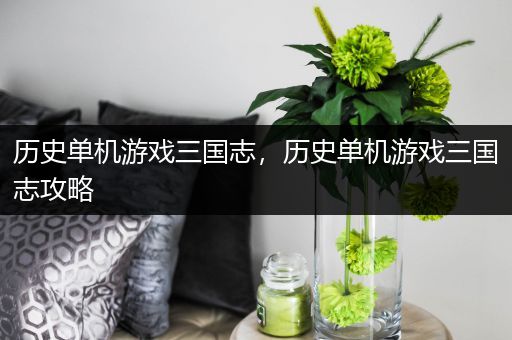 历史单机游戏三国志，历史单机游戏三国志攻略