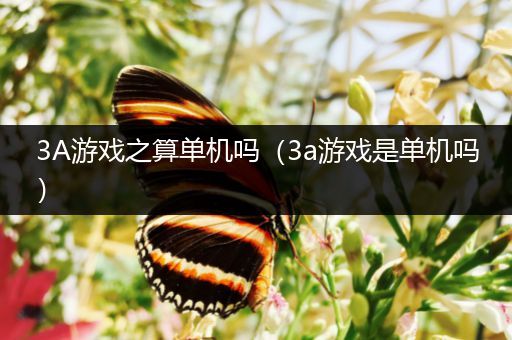 3A游戏之算单机吗（3a游戏是单机吗）