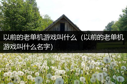 以前的老单机游戏叫什么（以前的老单机游戏叫什么名字）