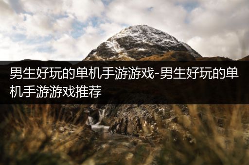 男生好玩的单机手游游戏-男生好玩的单机手游游戏推荐