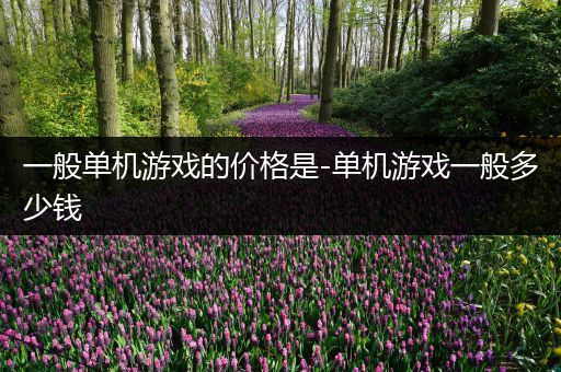 一般单机游戏的价格是-单机游戏一般多少钱