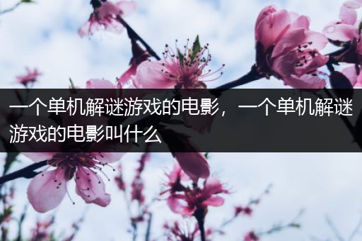 一个单机解谜游戏的电影，一个单机解谜游戏的电影叫什么