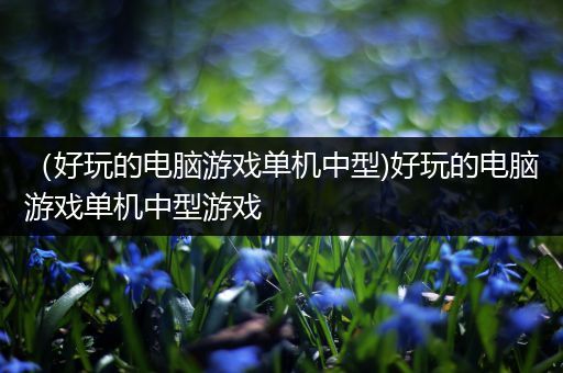 （好玩的电脑游戏单机中型)好玩的电脑游戏单机中型游戏
