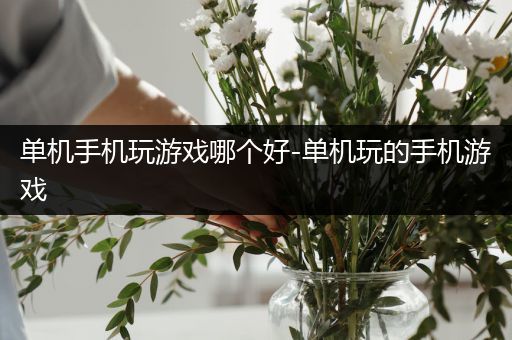 单机手机玩游戏哪个好-单机玩的手机游戏