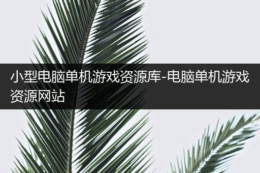 小型电脑单机游戏资源库-电脑单机游戏资源网站