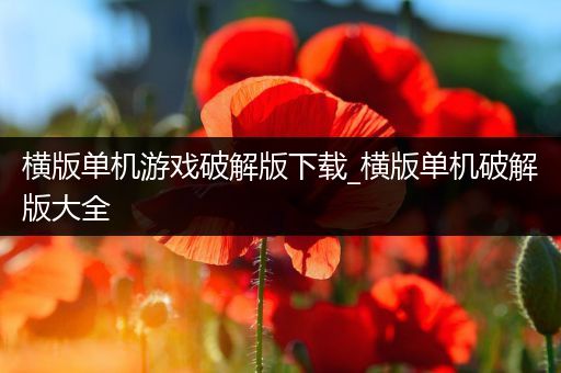 横版单机游戏破解版下载_横版单机破解版大全