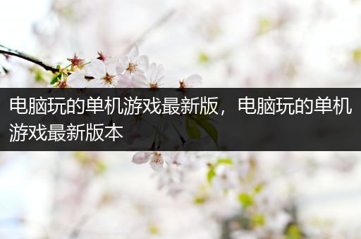电脑玩的单机游戏最新版，电脑玩的单机游戏最新版本