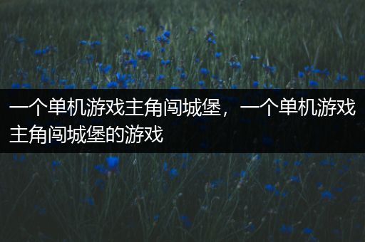 一个单机游戏主角闯城堡，一个单机游戏主角闯城堡的游戏
