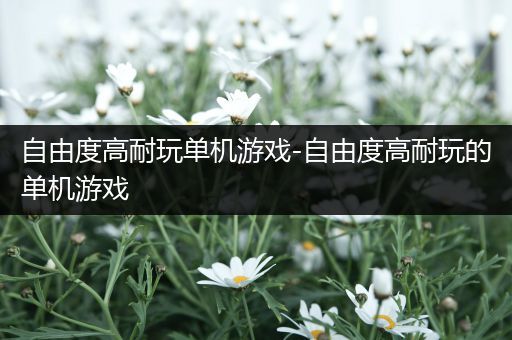 自由度高耐玩单机游戏-自由度高耐玩的单机游戏