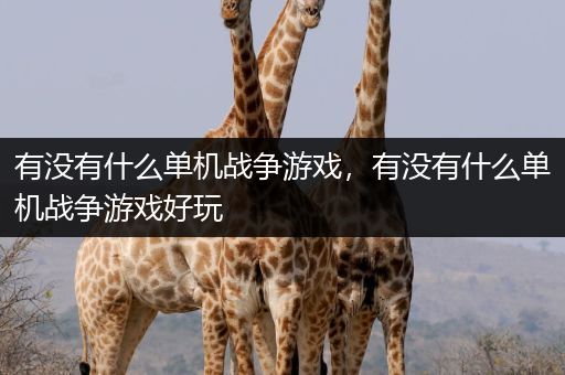 有没有什么单机战争游戏，有没有什么单机战争游戏好玩