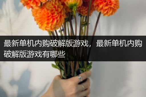 最新单机内购破解版游戏，最新单机内购破解版游戏有哪些