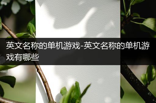 英文名称的单机游戏-英文名称的单机游戏有哪些