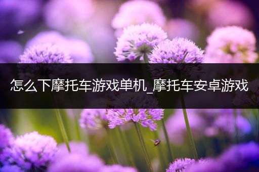 怎么下摩托车游戏单机_摩托车安卓游戏