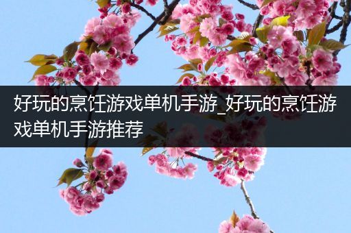 好玩的烹饪游戏单机手游_好玩的烹饪游戏单机手游推荐