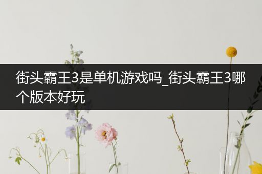 街头霸王3是单机游戏吗_街头霸王3哪个版本好玩