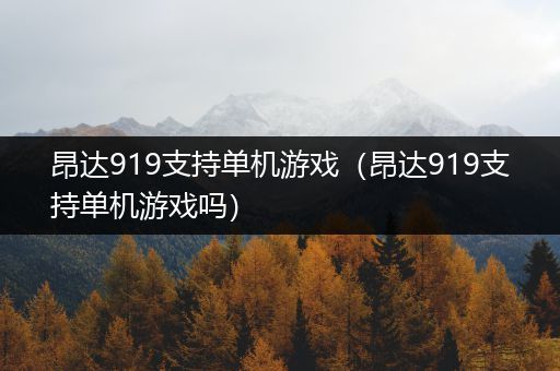 昂达919支持单机游戏（昂达919支持单机游戏吗）