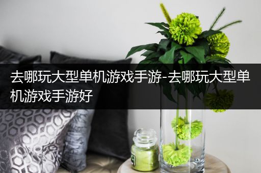 去哪玩大型单机游戏手游-去哪玩大型单机游戏手游好