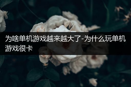 为啥单机游戏越来越大了-为什么玩单机游戏很卡