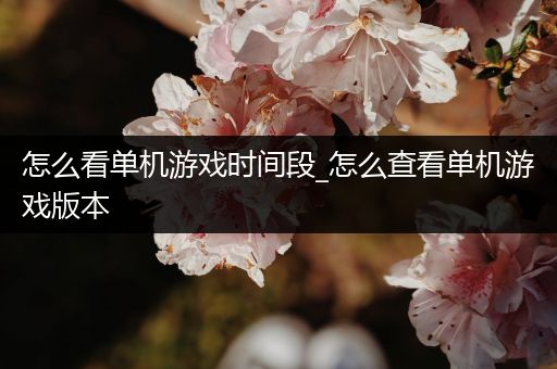 怎么看单机游戏时间段_怎么查看单机游戏版本