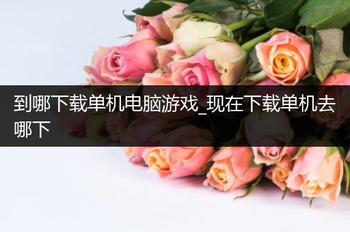 到哪下载单机电脑游戏_现在下载单机去哪下