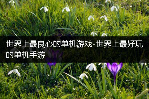 世界上最良心的单机游戏-世界上最好玩的单机手游