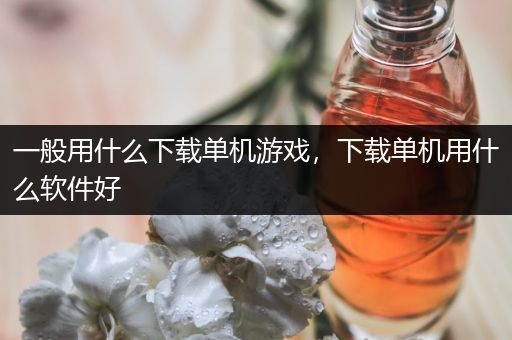 一般用什么下载单机游戏，下载单机用什么软件好